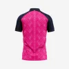 Customized Cricket 2 Rajasthan Royals Jersey 2024 Online