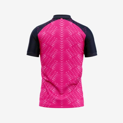 Customized Cricket 2 Rajasthan Royals Jersey 2024 Online