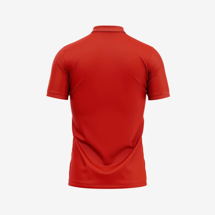Customized Cricket 2 Delhi Capitals Jersey 2024