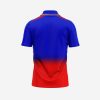 Customized Cricket 2 Royal Challengers Bangalore Jersey 2024