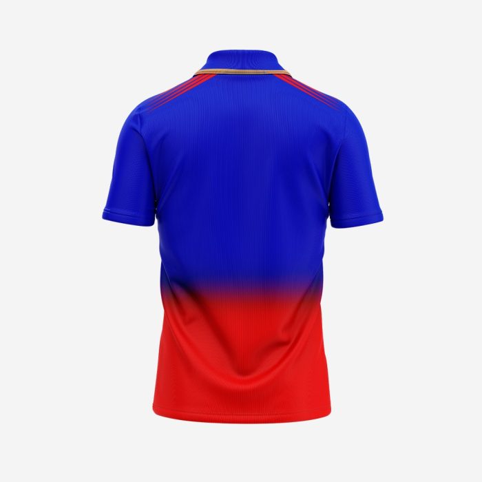 Customized Cricket 2 Royal Challengers Bangalore Jersey 2024