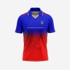 Customized Cricket 1 Royal Challengers Bangalore Jersey 2024