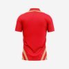 Customized Cricket 2 Punjab Kings Jersey 2024