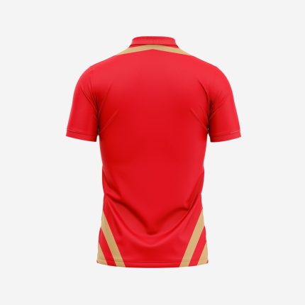 Customized Cricket 2 Punjab Kings Jersey 2024