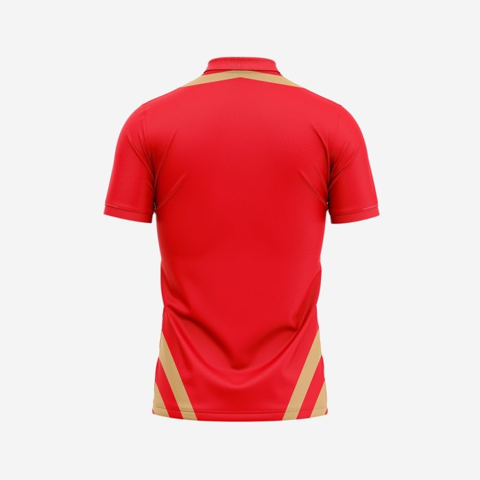 Customized Cricket 2 Punjab Kings Jersey 2024